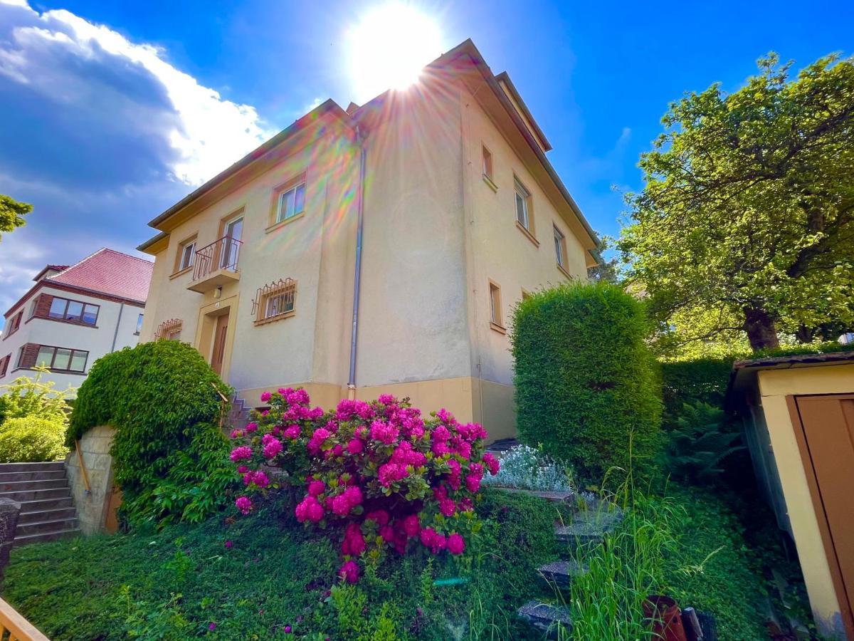 Modernes kleines Studio am Uni-Campus - Perfekt für Junge und Unternehmungslustige Dresde Exterior foto